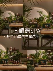 -芳香乐府SPA·五行芳疗