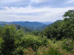 -大岭沟猕猴桃谷风景区