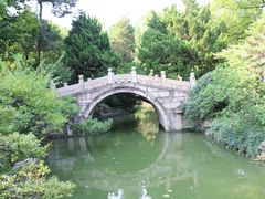-上海醉白池公园