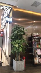 前台-崇尚GAVIN STYLE臻选