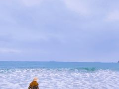 -西涌国际滨海旅游区