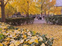 -北京大学赛克勒考古与艺术博物馆