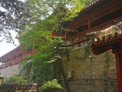 -大觉寺-停车场