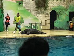 -台州海洋世界
