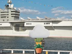 -东方绿舟景区-仿真航空母舰