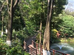 -百林公园-两江幸福广场