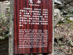 -少华山国家森林公园