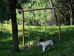 -北京野生动物园