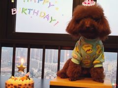 -黑池口感烘焙·生日蛋糕(坂田店)