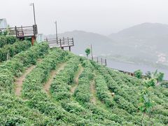 -长沙黑麋峰国家森林公园