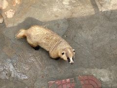 -西霞口神雕山野生动物世界