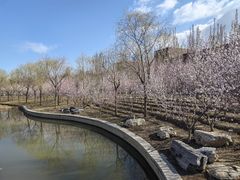 -南开大学(津南校区)