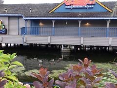 -The Crab Pot Seattle