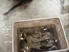 -万里闯关东铁锅炖菜馆(高新旗舰店)