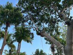 -亚龙湾喜来登·美景台大堂吧