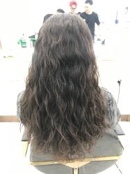 -镁连社·美联社