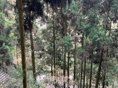 -刘伯温故里景区百丈漈