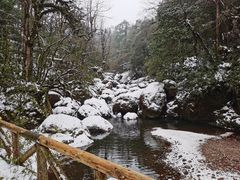 -龙苍沟森林公园