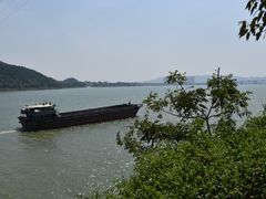 -羚羊峡古栈道森林公园