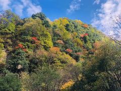 -陕西省红河谷森林公园