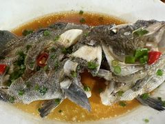 -海之鲜大排档(东山海鲜金銮湾店)