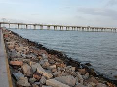 -宝安西湾红树林湿地公园