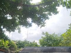 -泉眼温泉