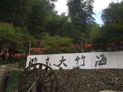 -宁波浙东大竹海景区