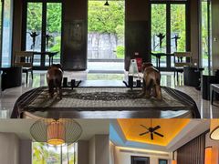 -广州从化都喜泰丽度假酒店温泉
