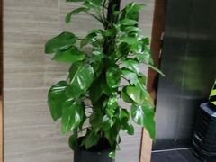 -速8酒店(西安电视塔自然博物馆店)