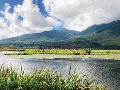 -腾冲北海湿地