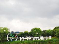 -长兴太湖图影湿地文化园