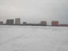 -江心岛