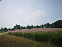 -同里国家湿地公园
