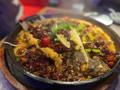 -老板恋上鱼(恒隆广场店)