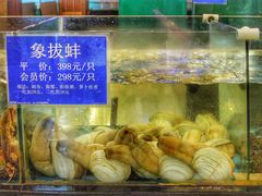 -都市阳光海鲜城(青山湖店)
