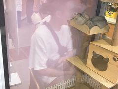 -联合动物医院(光谷诊疗中心)