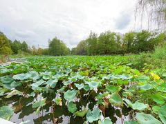 -白塘生态植物园