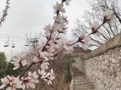 -香山公园
