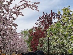 -元大都城垣遗址公园