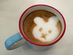 -海菲秀·飞顿牛奶光·LDM官方授权中心美轮美浣瓷感美肌