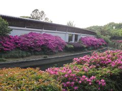 -蠡湖大桥公园