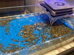 -箸福·夜上海(雨花客厅店)