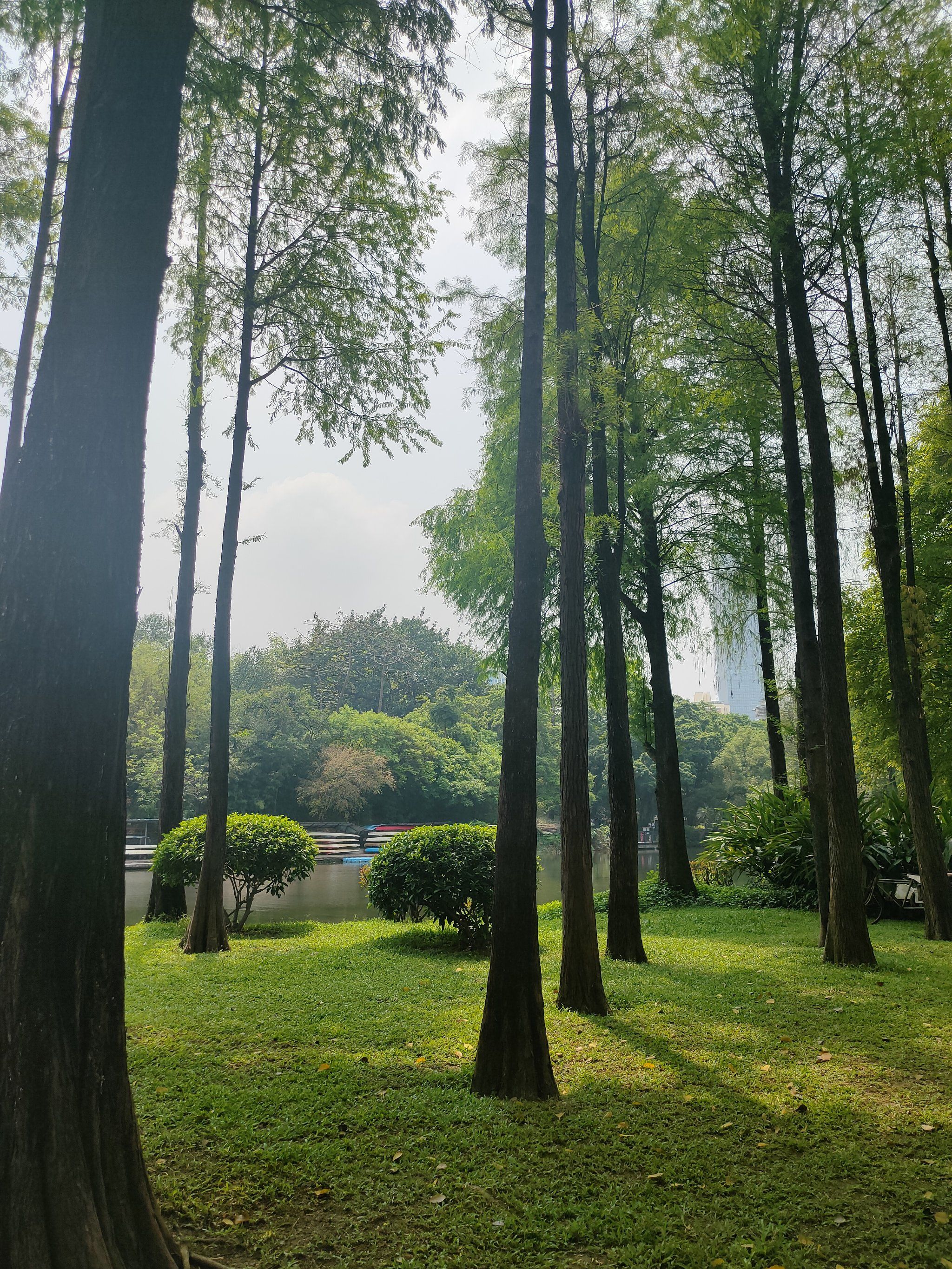 晓港公园也是休闲的好去处