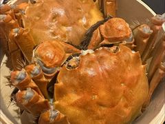 -王宝和酒家(黄浦店)