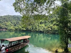 -鼎湖山风景区