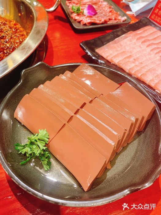 谭鸭血老火锅(高新万达金街店)谭公鸭血图片