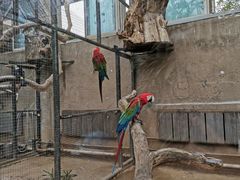 -大连森林动物园