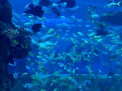 -海合安青岛极地海洋公园
