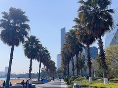 -金沙湖公园